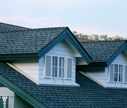 Welcome to J.P.D. Tree Service LLC